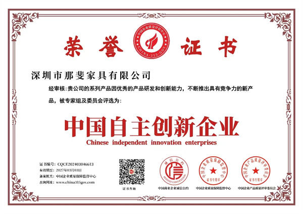 中 国自主创新企业