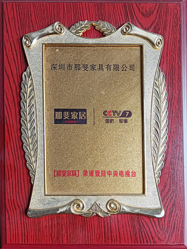 【那斐家具】荣耀登陆中央电视台